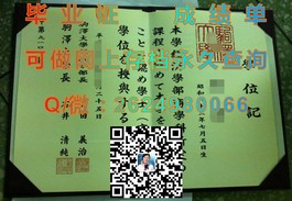 《都柏林理工学院毕业证：权威认证，开启全球就业新篇章》）