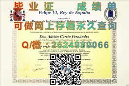 《杏林大学文凭揭秘：真实价值与求职优势深度解析》）