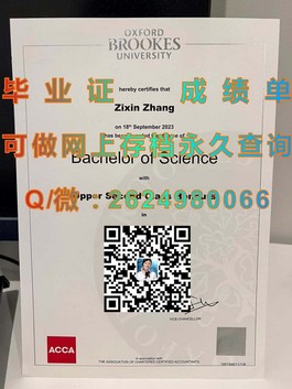《布里斯托大学毕业证书揭秘：权威认证，开启全球职场新篇章》）