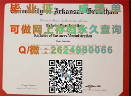 《解锁国际视野：揭秘新南威尔士大学毕业证背后的含金量与就业优势》）