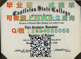 《揭秘杏林大学真迹：如何轻松获取国际认可的毕业证书？》）