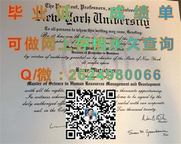 《慕尼黑工业大学毕业证含金量揭秘：全球认可的学术通行证》）