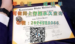 《法国威勒高等商学院：毕业证书背后的全球认可与职业发展优势》）