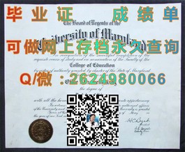 《德克萨斯大学学位证书揭秘：详解真实学位背后的价值与认可》）