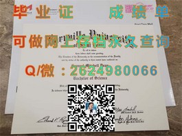 《布里斯托大学毕业证含金量揭秘：如何获取并了解真实学位证书》）