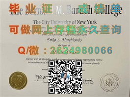 《解锁新南威尔士大学荣耀：揭秘真实毕业证背后的故事与价值》）