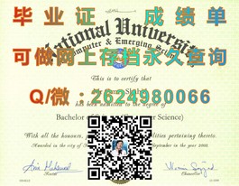 《杏林大学文凭大揭秘：真实含金量与求职优势全解析》）