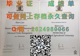 《圣安德鲁斯大学学位证书解析：全球认可的荣耀凭证揭秘》）