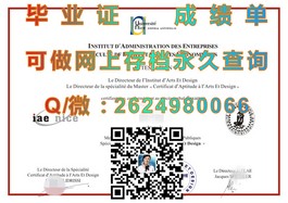 《慕尼黑工业大学毕业证书：揭秘欧洲工程精英的荣誉通行证》）