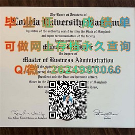 《法国威勒高等商学院：毕业证书背后的全球认可与就业优势》）