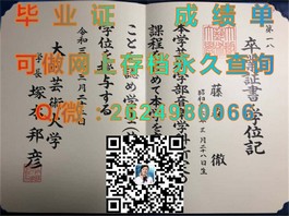 《新南威尔士大学毕业证书详解：权威解读与珍贵价值揭秘》）