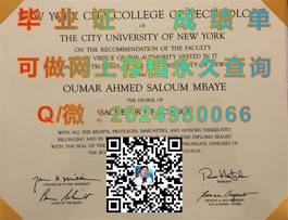 《慕尼黑工业大学毕业证书全解析：学位证书背后的价值与含金量揭秘》）