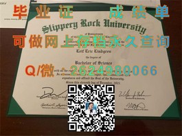 《新加坡共和理工学院毕业证书解析：含金量如何？留学就业优势一览》）