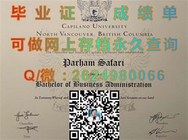 《都柏林理工学院毕业证书：揭秘真实含金量与全球认可度》）