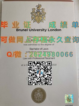 《揭秘德国柏林应用科学大学文凭含金量，毕业证书详解助你留学成功》