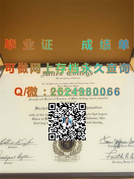 《深度揭秘：梅努斯大学毕业证文凭成绩单样本，留学必备实用指南》）