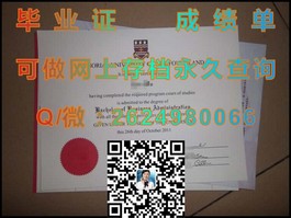 《爱尔兰国立大学文凭样本解析：成绩单详解，留学必备资料大揭秘》）