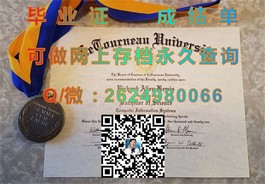 《纽卡斯尔大学官方文凭样本解析：成绩单与毕业证全解析》）