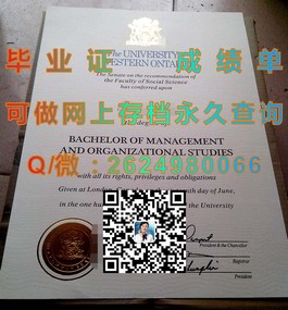 《揭秘南安普顿大学真文凭样本：成绩单详解，留学必备指南》）