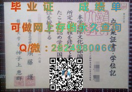 《曼彻斯特城市大学文凭样本大揭秘：成绩单详解，助你了解真实学历认证》）