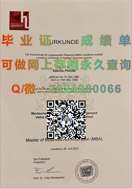 《萨里大学文凭样本深度解析：真实成绩单展示与留学参考》）
