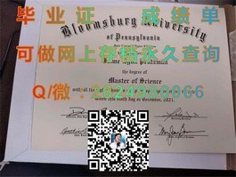 《揭秘普利茅斯大学真实文凭样本：成绩单详解，留学必备指南》）