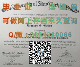 《深度解析：伯恩茅斯大学文凭样本，揭秘成绩单细节与获取途径》）