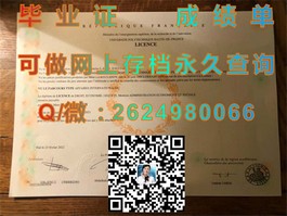 《英国约克大学文凭样本详解：成绩单样式揭秘，留学必备参考》）