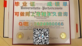 《新加坡东亚管理学院文凭样本揭秘：真实成绩单展示与毕业证书样本一览》）