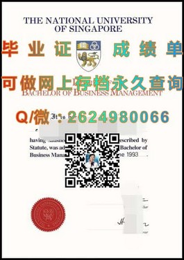 《怀卡托理工学院文凭揭秘：毕业证与成绩单样本深度解析》）