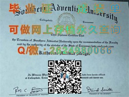《独家揭秘！利兹大学文凭样本深度解析，助你轻松识别真伪》）
