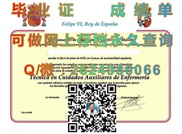 《南澳大学毕业证文凭成绩单样本大揭秘：真实样例解析，助你了解海外学历认证》）