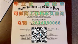 《深度揭秘：斯特拉斯克莱德大学毕业证、文凭、成绩单样本详解》）