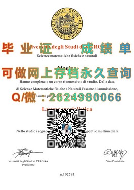 《亨里管理学院文凭样本揭秘：成绩单与毕业证书详解》）
