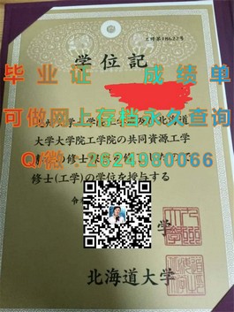 《埃塞克斯大学官方文凭样本揭秘：成绩单样式及毕业证详解》）