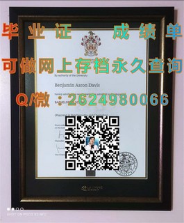《深度解析：都柏林大学文凭样本，带你领略真实成绩单与毕业证书风采》）