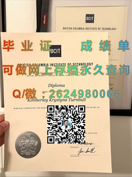 《利莫瑞克理工学院文凭揭秘：真实毕业证样本及成绩单详览》）