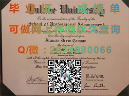 《卧龙岗大学官方文凭样本揭秘：成绩单格式详解与辨别真伪指南》）