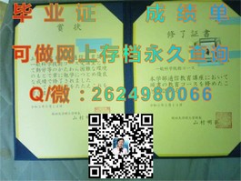 《伦敦大学文凭揭秘：真实成绩单样本深度解析》）