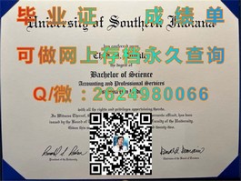 《深度解析：南安普顿大学文凭样本详解，助你了解真实成绩单格式》）