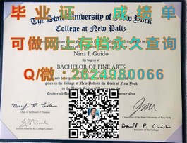 《揭秘普茨茅斯大学真文凭样本：成绩单细节一览，助你留学无忧》）