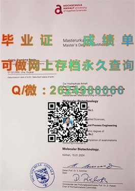 《兰卡斯特大学官方文凭揭秘：成绩单样本深度解析，助你轻松识别真伪》）