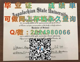 《深度揭秘：罗伯特戈登大学文凭样本解析，成绩单模板大曝光！》）