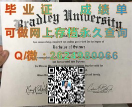 《伦敦城市大学文凭深度解析：证书样本展示与成绩单解读》）