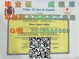 《英国开放大学文凭样本揭秘：成绩单解析与申请指南》）