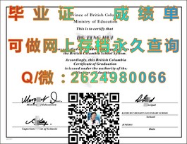 《智利名校文凭深度解析：毕业证、成绩单样本大揭秘，留学必备参考》）