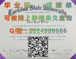 《蒂赛德大学文凭样本深度解析：成绩单解读与毕业证书详览》）