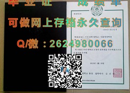 《基尔大学文凭详解：成绩单样本深度解析，留学必备攻略》）