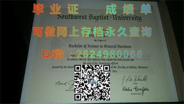 《新加坡国立大学毕业证、文凭及成绩单详解：真实样本展示，助你全面了解》）