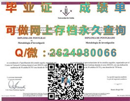 《怀卡托理工学院毕业证、文凭及成绩单样本详解：留学必备指南》）